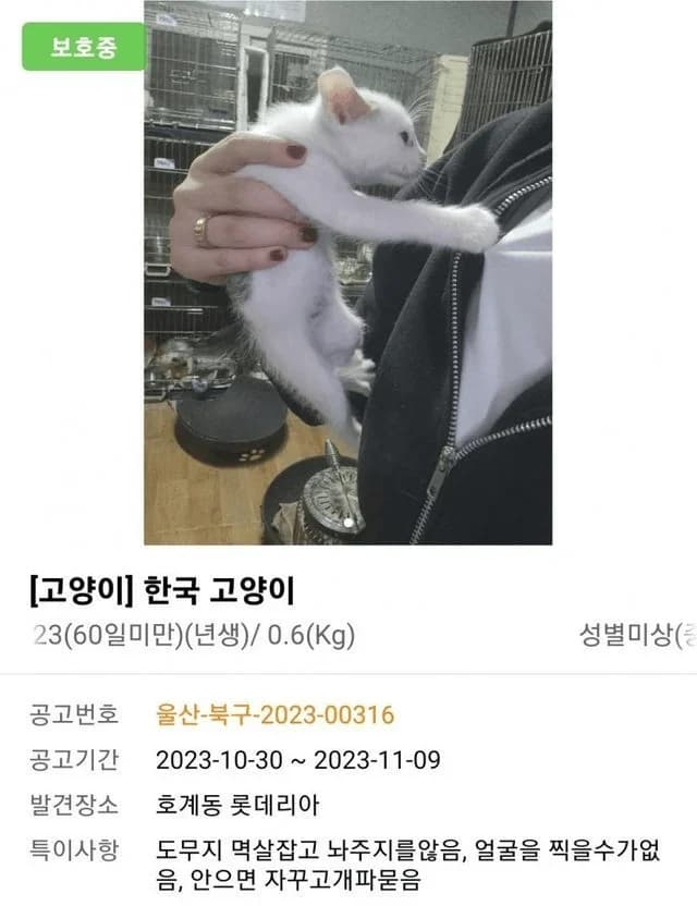 특이사항 첨부 이미지